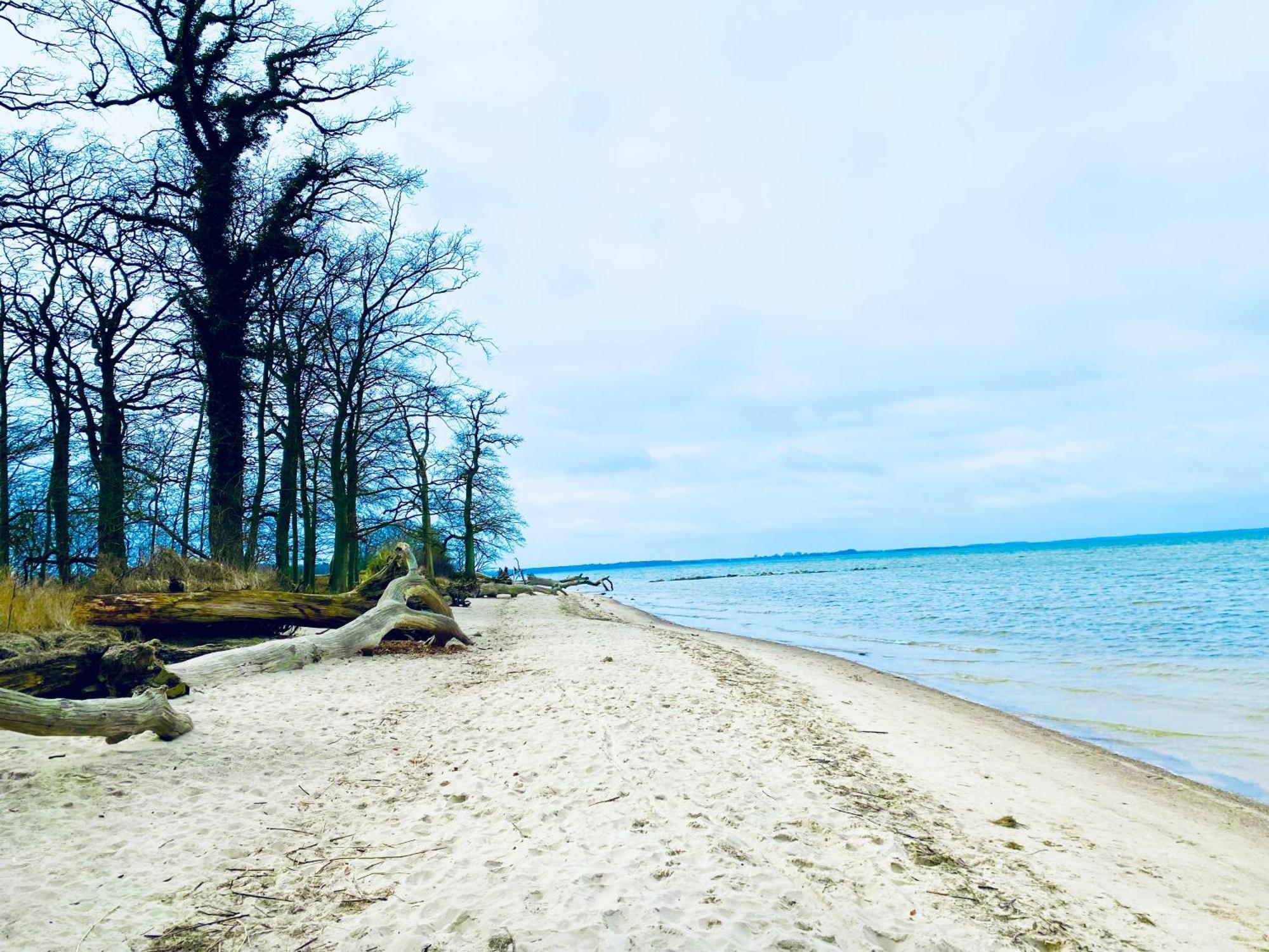 Ferienhaus Am Strand Loissin ภายนอก รูปภาพ